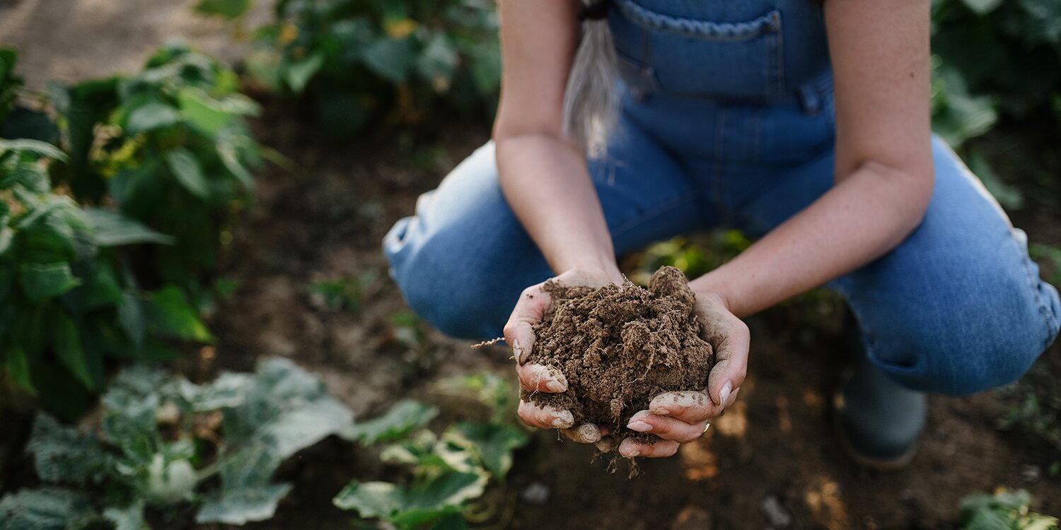 Why regenerative farming is breaking new ground for caterers