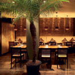 Sushinho becomes first London sushi outlet to remove tuna from its menu