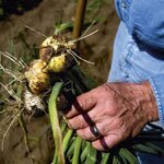 How to&hellip; become more sustainable