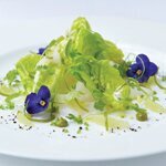 Masterclass: monkfish ceviche