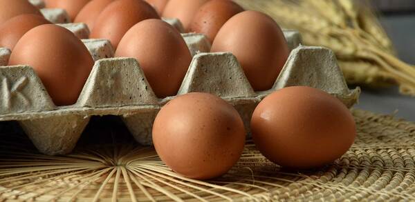 Food Standards Agency Polish eggs warning