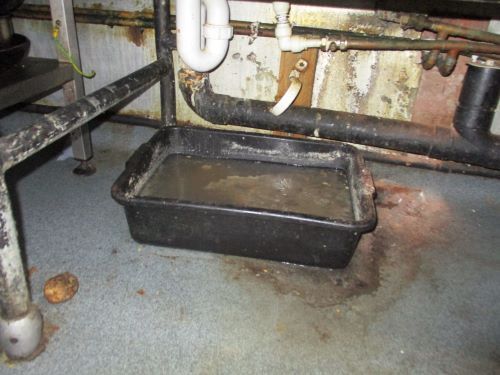 Hotel company ordered to pay £18,000 after pleading guilty to food hygiene offences 