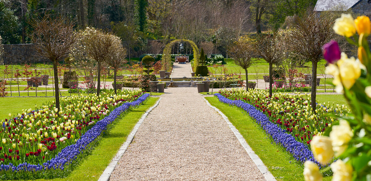 Ballynahinch-Walled-Garden-(1).jpg