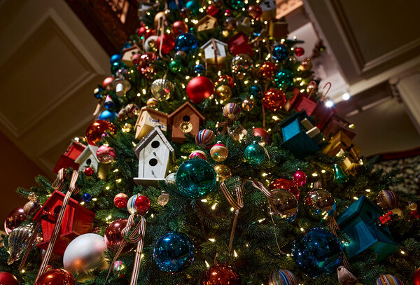 The best Christmas trees in hotels 2024