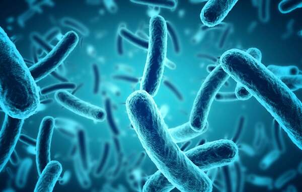 Warning for hospital caterers as listeria outbreak kills three