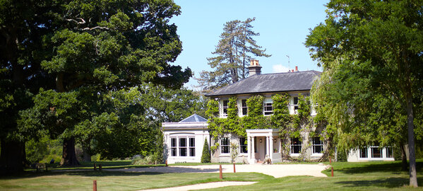 The Pig&rsquo;s parent company sees turnover hit &pound;50m despite &lsquo;softening&rsquo; market