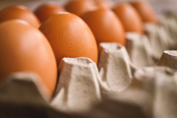 Warning to hospitality businesses over imported eggs