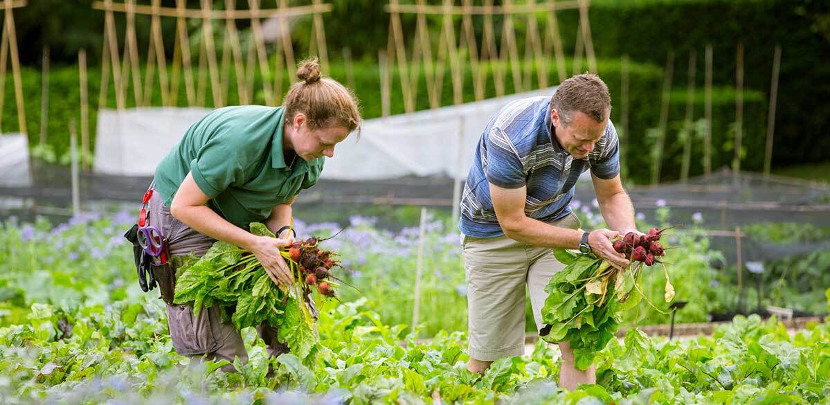 Le Manoir gardeners