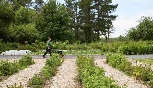 Start with the &lsquo;why&rsquo;: How Red Carnation builds sustainable luxury into its hotels