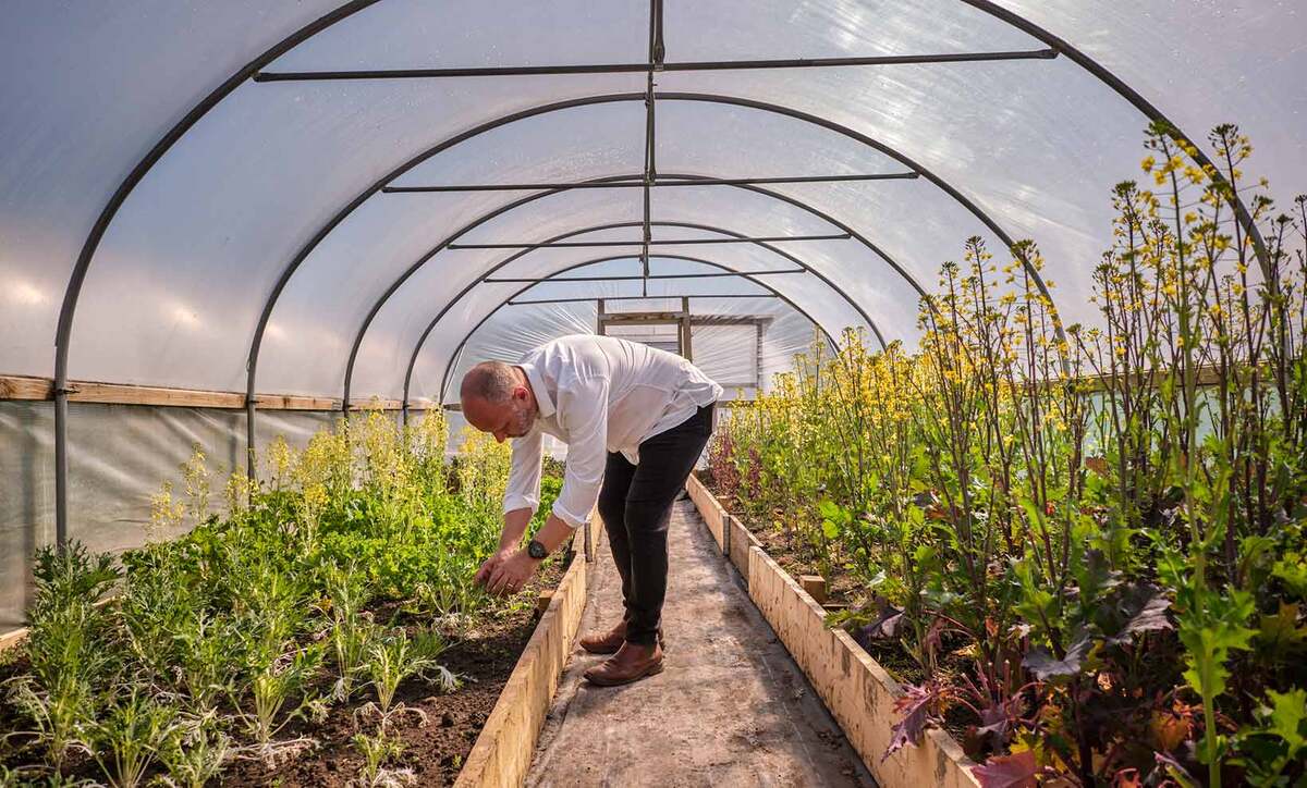 How Simon Rogan’s Our Farm supplies his restaurants - InDepth