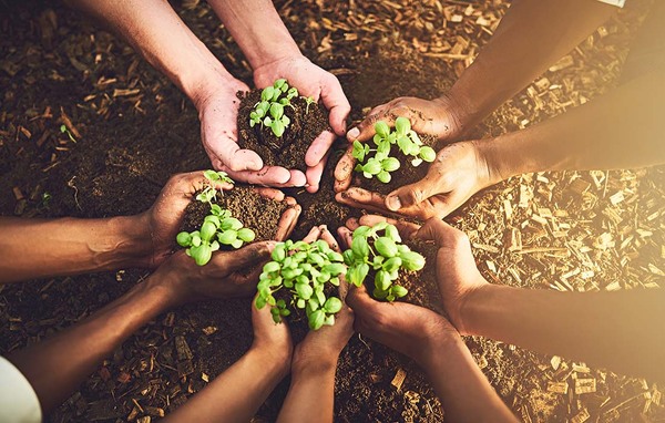 5 tactics to strengthen sustainability in your business