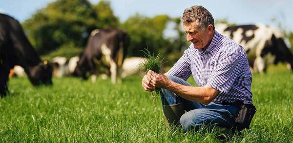Irish dairy: Premium taste, proven sustainability