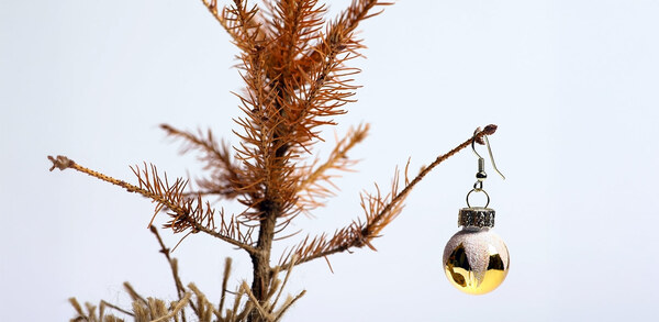 From festive cheer to&nbsp;January fear: Can hospitality survive the winter?