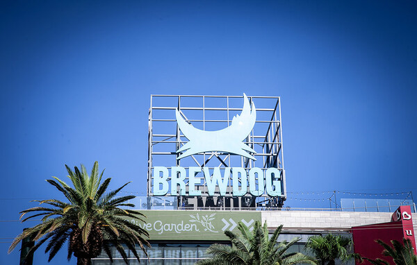 From brewpubs to cannabis clubs? How Tilray&rsquo;s &pound;33m BrewDog deal will roll out