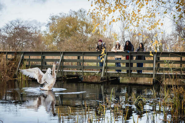 Elior UK announces five-year partnership with WWT London Wetland Centre