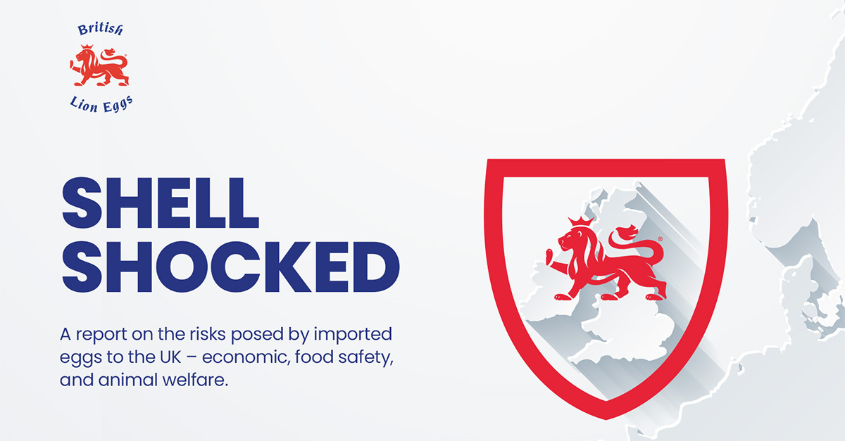 New report urges government action on escalating safety, hen welfare and reputational risk from imported eggs