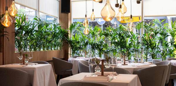 Michelin-starred Sola to downsize and relocate