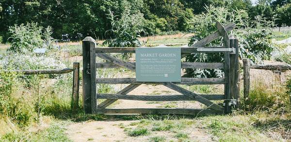 Heatwaves and harvests: How kitchen gardens are rethinking water use