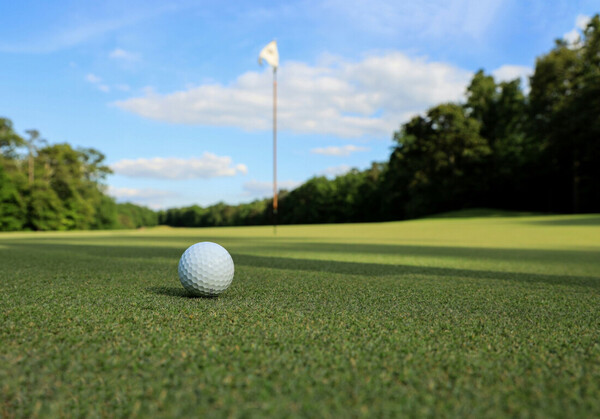 Regency Purchasing Group to assist golf hotels with reducing costs