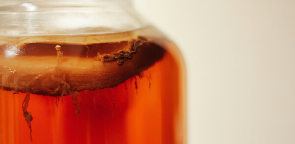 Add some fizz and funk to your drinks menu with ferments