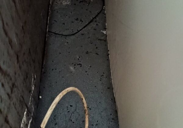 Two London restaurants fined over &pound;37,000 for mouse infestations