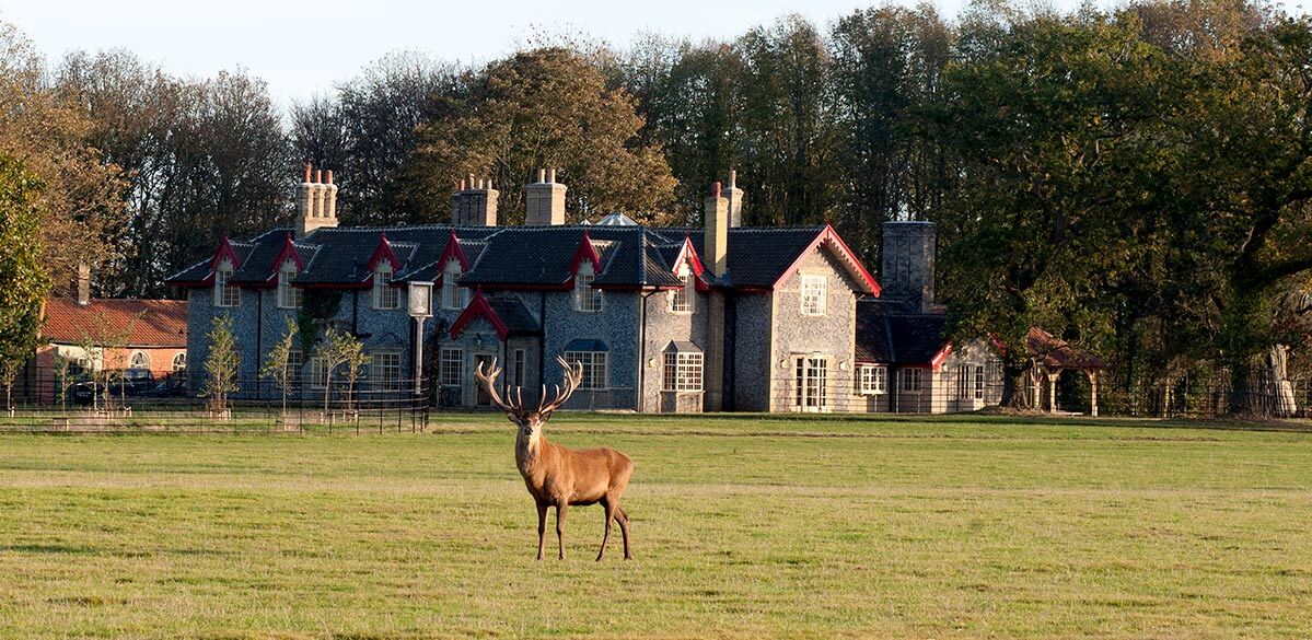 Part gallery, part pub: Take a tour of rock 'n' roll hunting lodge the Gunton Arms